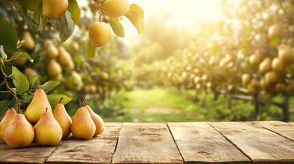 yellow pear fruits on trees with pear orchard in the background, image for pear advertisement