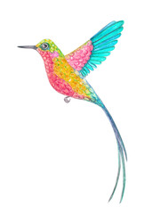 isolated watercolor long-tailed hummingbird purple and blue in flight