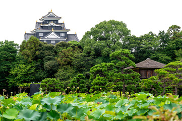 Okayama Korakuen and fortess at Okayama castle  is Japanese ancient castle is landmark in Okayama,...