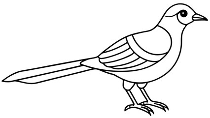 Bird of Line Art Vector Illustration on White Background