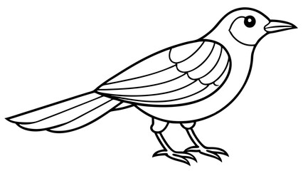 Bird of Line Art Vector Illustration on White Background