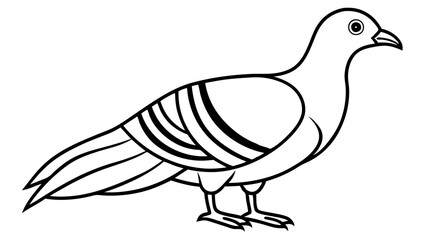 Bird of Line Art Vector Illustration on White Background