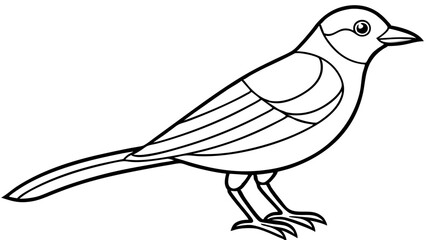 Bird of Line Art Vector Illustration on White Background