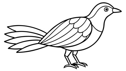 Bird of Line Art Vector Illustration on White Background