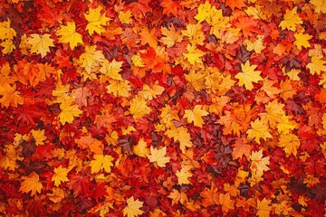 Vibrant autumn leaves background. A rich tapestry of red, orange, and yellow maple leaves covering the ground. Perfect for fall-themed projects.