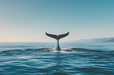 Whale Tail Rising From Ocean Waters