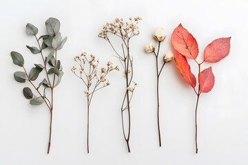 Dried Flowers and Eucalyptus Arranged Symmetrically