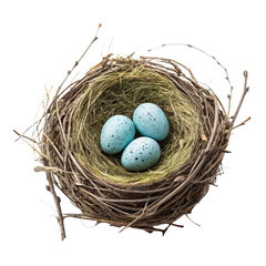 Obraz premium bird nest with three blue speckled eggs on white background