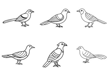 bird, line art, vector, set, illustration, outline, black and white, nature, wildlife, minimalist, simple, avian, feathers, perched, design, sketch, hand drawn, creative, elegant, logo, decor, monochr
