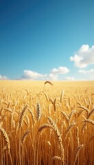 Naklejka premium Golden wheat field swaying gently under a deep blue summer sky.