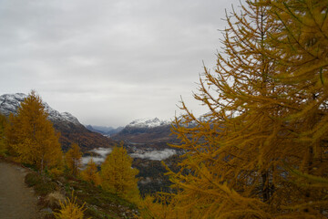 View from Muottas Muragl over the valley near Pontresina and St. Moritz in autumn