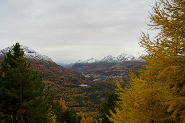 View from Muottas Muragl over the valley near Pontresina and St. Moritz in autumn