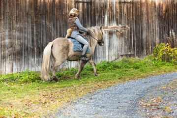 Icelandic horse riding. Rider has werewolf theme outfit