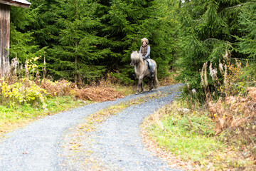 Icelandic horse riding. Rider has werewolf theme outfit