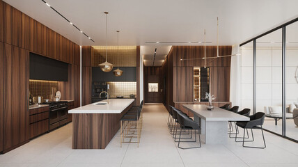 Modern Luxury Kitchen   Dining Room Interior Design