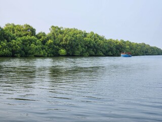 Kakinada, Andhra Pradesh India: Tulyabhaga Sagarasangam River at Coringa Wildlife Sanctuary situated near Kakinada in Andhra Pradesh. It is the second largest stretch of mangrove forests in India.