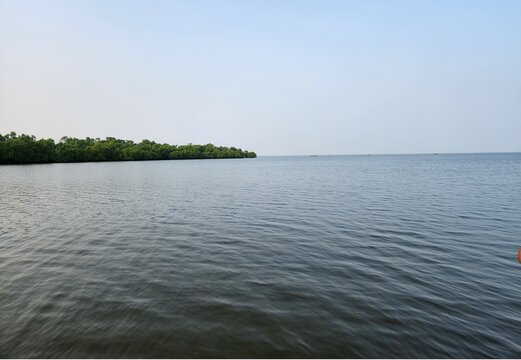 Kakinada, Andhra Pradesh India: Tulyabhaga Sagarasangam River at Coringa Wildlife Sanctuary situated near Kakinada in Andhra Pradesh. It is the second largest stretch of mangrove forests in India.