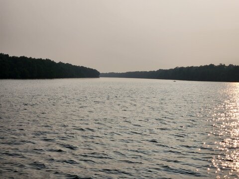 Kakinada, Andhra Pradesh India: Tulyabhaga Sagarasangam River at Coringa Wildlife Sanctuary situated near Kakinada in Andhra Pradesh. It is the second largest stretch of mangrove forests in India.
