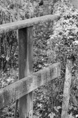 Fototapeta premium Herbstzeit im Dorf Weseke im Münsterland