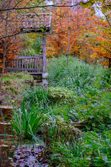 Herbstzeit im Dorf Weseke im Münsterland