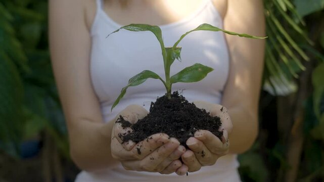 A woman holds an small tree in her hands - Powered by Adobe