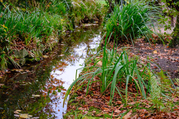 Herbstzeit im Dorf Weseke im Münsterland