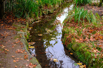 Herbstzeit im Dorf Weseke im Münsterland