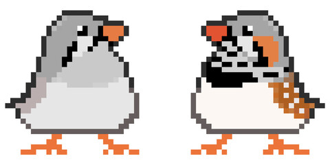 Obraz premium ドット絵, アニマルイラスト, キンカチョウのペア, ノーマル