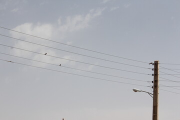 Power lines extending through a desert landscape, indicating infrastructure in remote regions.