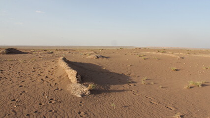 Three human shadows on the sand, conveying companionship and exploration in the desert.