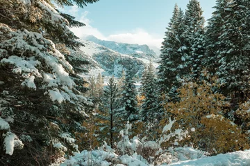 Fototapete Rund Winter in Sierra Nevada © Galyna Andrushko