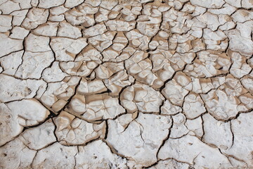 Cracked, dried earth under intense sun, illustrating the harsh desert climate and environmental effects on ancient landscapes.