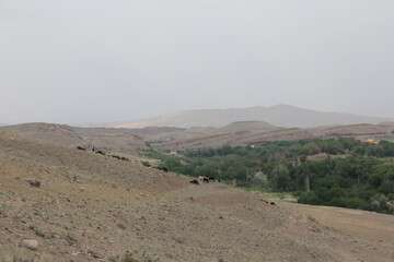 Desert landscape with rugged mountains, representing the natural beauty and harshness of Middle Eastern terrain.