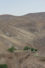 Rolling hills with scattered greenery in a dry landscape, depicting the resilience of nature in arid regions.