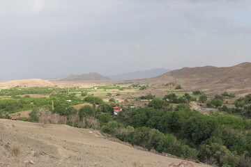 Naklejka premium Rolling desert landscape with green patches, representing the perseverance of life amidst the harsh Middle Eastern environment.