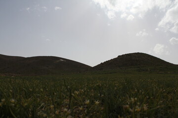 Peaceful mountain landscape with lush greenery under a cloudy sky