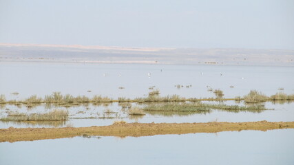 A beautiful desert landscape with calm water reflecting the clouds and a serene horizon.