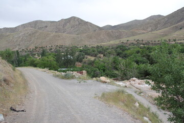 Village road leading through trees, with mountains in the background, conveying rural simplicity.