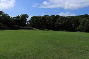 Naklejka premium 佐倉城址公園