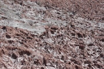 Expansive desert terrain with rocky ground and sparse vegetation, illustrating the harsh beauty of arid landscapes.