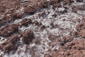 Rocky desert ground with unique textures, capturing the raw and natural beauty of the barren landscape.