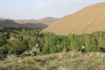 Mountain landscape with scattered greenery and open sky, showcasing the untouched beauty and tranquility of nature.
