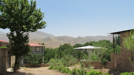 Tree in open field near traditional building, symbolizing rural lifestyle and natural beauty in a quiet setting.