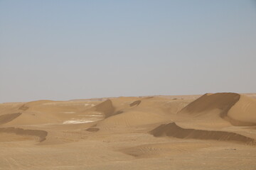 Expansive view of desert sand dunes, capturing the vastness and beauty of untouched landscapes.