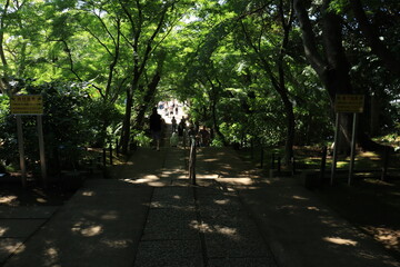 本土寺