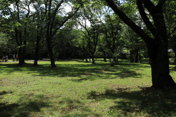 佐倉城址公園