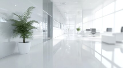 Fototapeta premium Minimalist Office Corridor