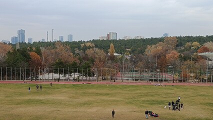 Middle East Technical University Campus in Autumn.