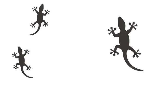 Walking Lizard Silhouette Animation, Alpha Channel Setting, Loop Animation