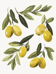 Obraz premium Olive Branch Watercolor Illustration: A hand-painted watercolor illustration showcasing olive branches with delicate leaves and plump olives, evoking a sense of peace, abundance.